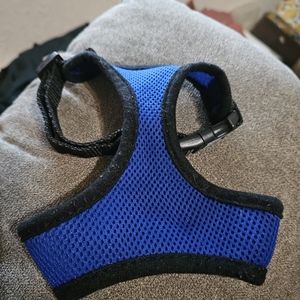 Four Paws Comfort Control Air Mesh Harness, Blue Small